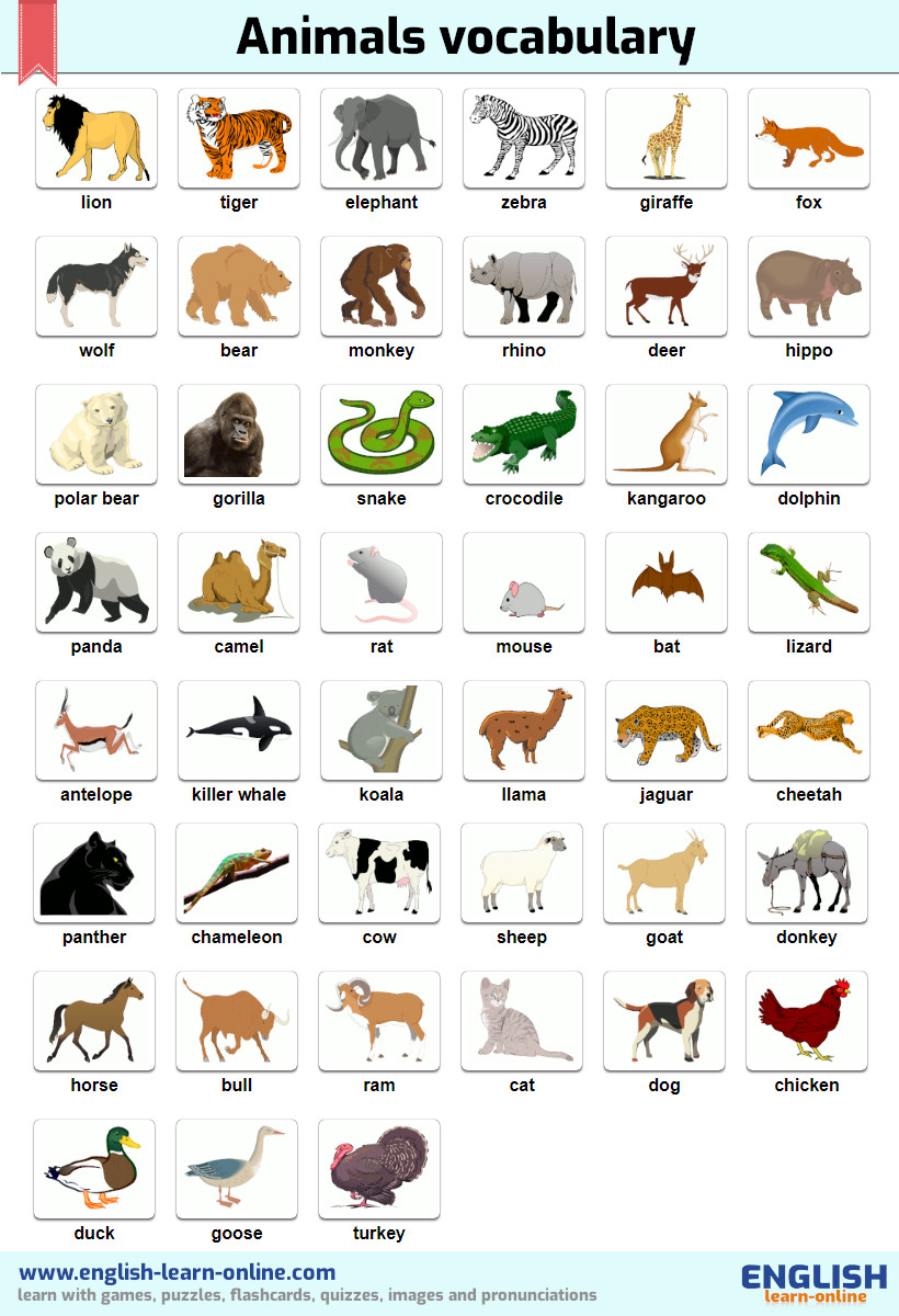 Название животных по английскому